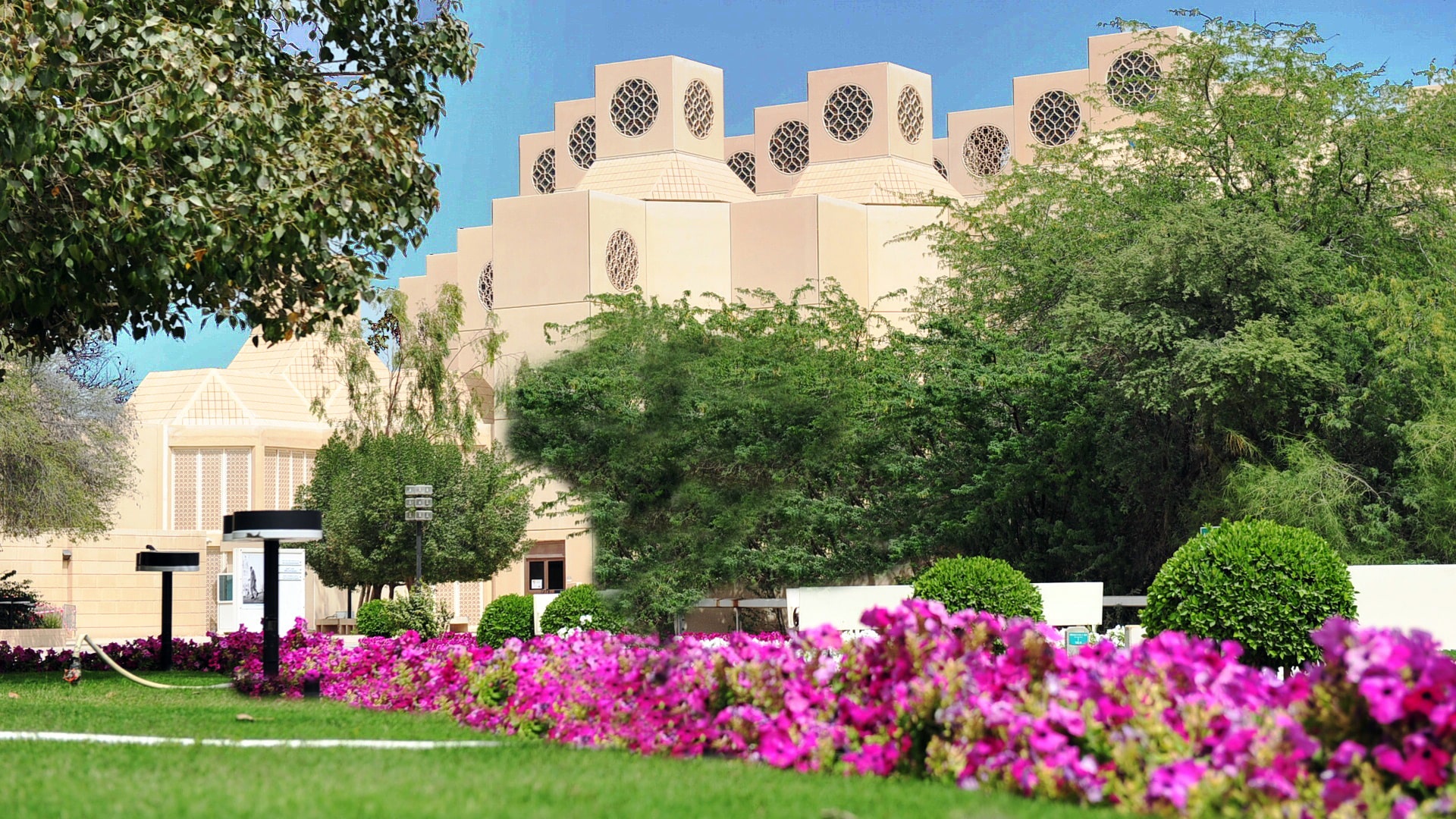 Connected, curious and creative - Qatar University - Q Life